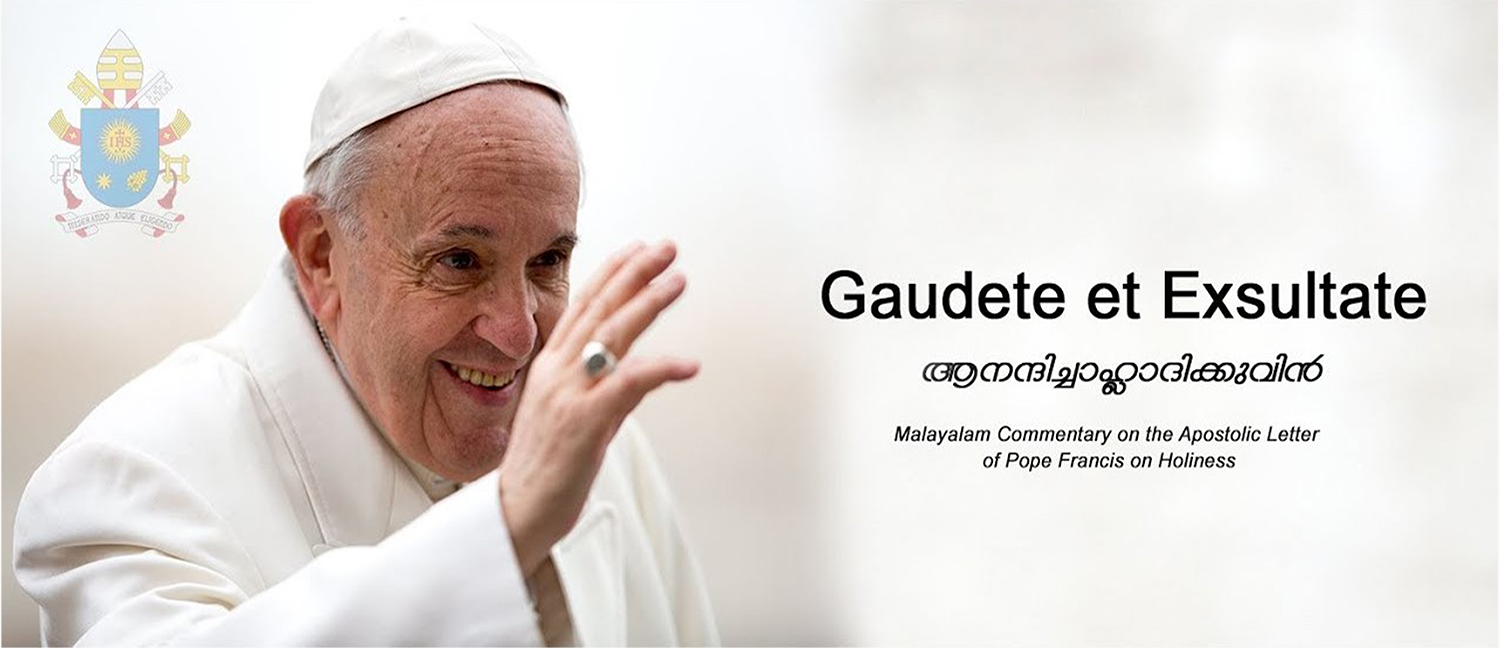 Tông huấn Hãy vui mừng hoan hỉ (Gaudete et Exsultate) về ơn gọi nên thánh  trong thế giới ngày nay